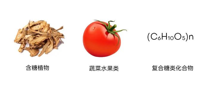 小型丝瓜视频官网旋风分离器内壁粘附湿粉